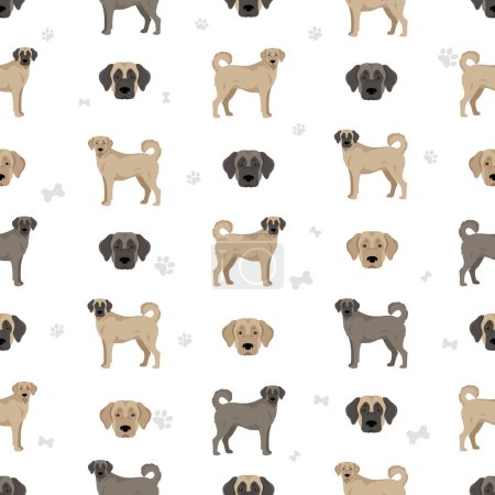 Illustration for Kangal Shepherd dog seamless pattern. Different coat colors set.  Vector illustration - Royalty Free Image