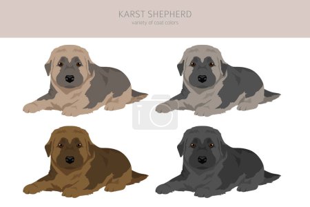 Téléchargez les photos : Karst berger chien chiot clipart. Différentes couleurs de manteau ensemble. Illustration vectorielle - en image libre de droit