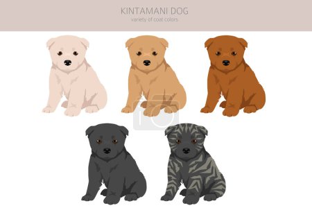 Kintamani Bali Hundewelpen Cliparts. Verschiedene Fellfarben eingestellt. Vektorillustration