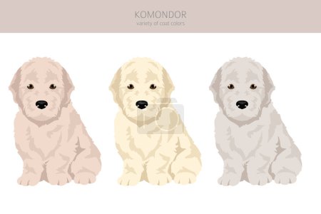Clipart de chiot Komondor. Différentes poses, couleurs de manteau réglées. Illustration vectorielle
