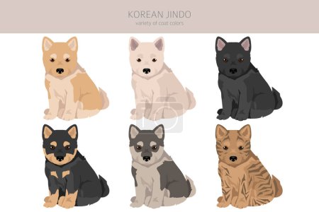 Korean Jindo puppy clipart. Different poses, coat colors set.  Vector illustration