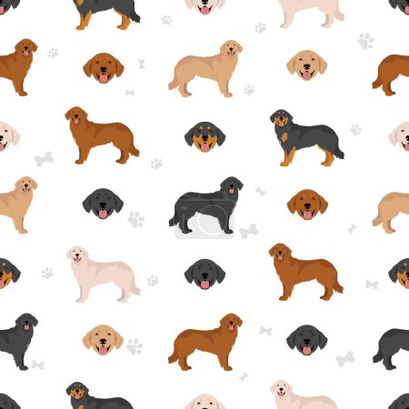 Illustration for Hovawart dog seamless pattern. Different poses, coat colors set.  Vector illustration - Royalty Free Image