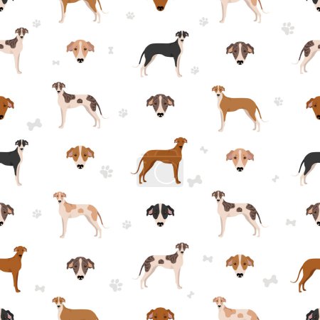 Illustration for Hungarian greyhound seamless pattern. Different poses, coat colors set.  Vector illustration - Royalty Free Image
