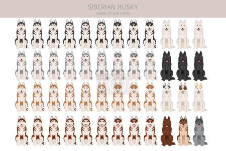 Illustration for Designer, crossbreed, hybrid mix dogs collection isolated on white. Flat style clipart set. Vector illustration - Royalty Free Image