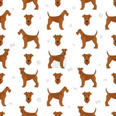 Téléchargez les photos : Terrier irlandais motif sans couture. Différentes poses, couleurs de manteau réglées. Illustration vectorielle - en image libre de droit
