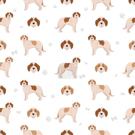 Istrian Coarse-haired hound seamless pattern. Different poses, coat colors set.  Vector illustration