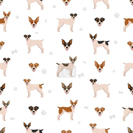 Feist dog seamless pattern. Different coat colors set.  Vector illustration