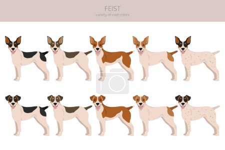 Téléchargez les photos : Feist dog clipart. Different coat colors set.  Vector illustration - en image libre de droit