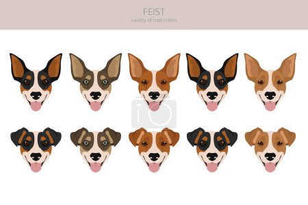Feist dog clipart. Different coat colors set.  Vector illustration