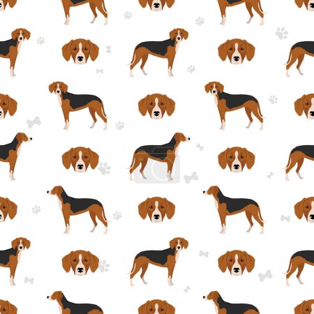 Illustration for Finnish Hound seamless pattern. Different coat colors set.  Vector illustration - Royalty Free Image