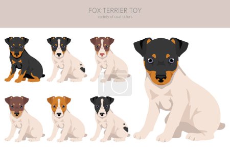Fox terrier toy puppy clipart. Different poses, coat colors set.  Vector illustration