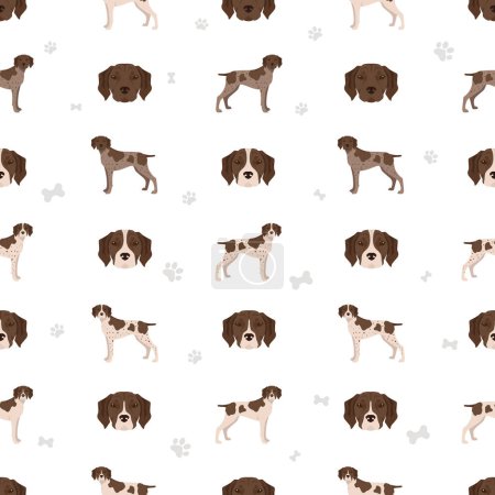 Illustration for French pointing dog, Gascogne type seamless pattern. Different poses, coat colors set.  Vector illustration - Royalty Free Image