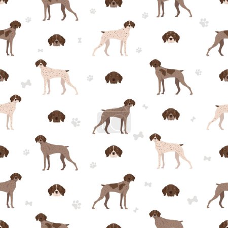 Illustration for French pointing dog, Pyrenean type seamless pattern. Different poses, coat colors set.  Vector illustration - Royalty Free Image