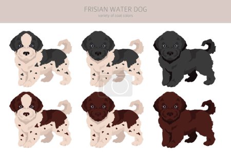 Frisian Water Dog Welpen Clipart. Verschiedene Posen, festgelegte Fellfarben. Vektorillustration