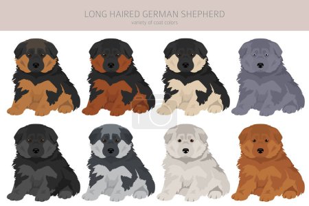Perro pastor alemán de pelo largo cachorro en diferentes colores capa clipart. Ilustración vectorial