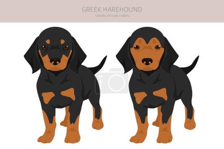 Griechische Harehound Welpen Cliparts. Verschiedene Fellfarben eingestellt. Vektorillustration