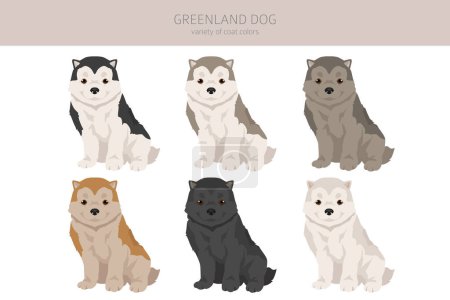 Greenland dog puppy clipart. Different poses, coat colors set.  Vector illustration