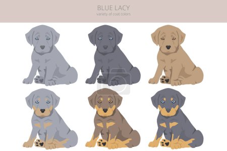 Clipart de perrito de encaje azul. Diferentes colores de capa y poses conjunto. Ilustración vectorial