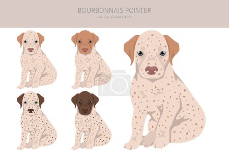 Ilustración de Bourbonnais puntero cachorro clipart. Diferentes colores de capa y poses conjunto. Ilustración vectorial - Imagen libre de derechos