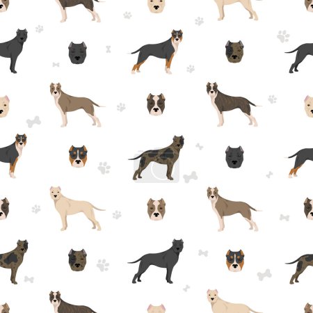 Brindisi fighting dog seamless pattern. Different coat colors and poses set.  Vector illustration