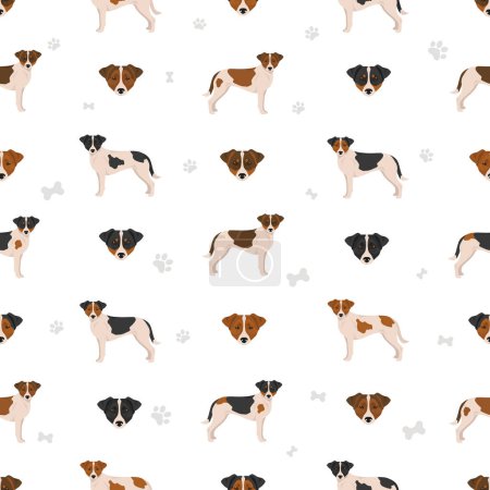 Illustration for Danish swedish farmdog seamless pattern. Different poses, coat colors set.  Vector illustration - Royalty Free Image