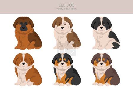 Téléchargez les photos : Elo dog clipart. Different coat colors set.  Vector illustration - en image libre de droit