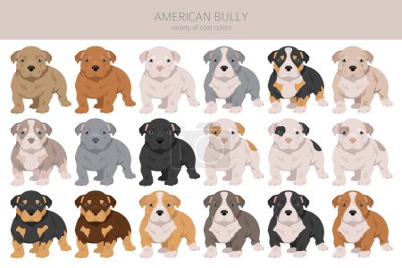 Téléchargez les photos : American bully puppy all colours clipart. Different coat colors set.  Vector illustration - en image libre de droit