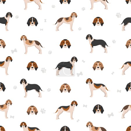 Téléchargez les photos : Medium sized Anglo-French hound seamless pattern. Different poses, coat colors set. Vector illustration - en image libre de droit