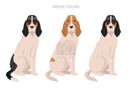 Ilustración de Ariege hound clipart. Different poses, coat colors set. vector illustration - Imagen libre de derechos