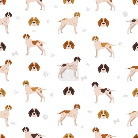 Ariege pointer seamless pattern. Different poses, coat colors set. vector illustration
