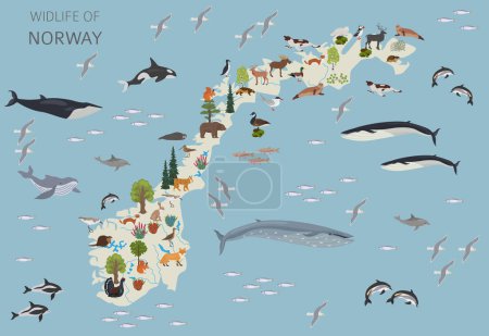 Norwegen Wildtiergeographie. Tiere, Vögel und Pflanzen sind Bauelemente, isoliert auf weißem Untergrund. Norwegische Natur-Infografik. Vektorillustration