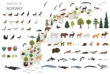 Norwegen Wildtiergeographie. Tiere, Vögel und Pflanzen sind Bauelemente, isoliert auf weißem Untergrund. Norwegische Natur-Infografik. Vektorillustration