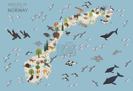 Isometrische Geographie der norwegischen Tierwelt. Tiere, Vögel und Pflanzen sind Bauelemente, isoliert auf weißem Untergrund. Norwegische Natur-Infografik. Vektorillustration