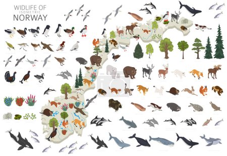 Isometrische Geographie der norwegischen Tierwelt. Tiere, Vögel und Pflanzen sind Bauelemente, isoliert auf weißem Untergrund. Norwegische Natur-Infografik. Vektorillustration