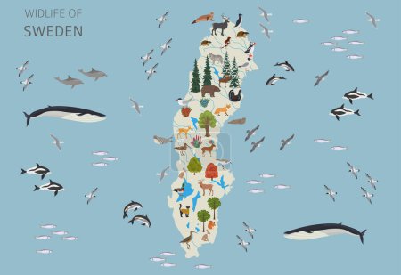 Schweden Wildtiergeographie. Tiere, Vögel und Pflanzen sind Bauelemente, isoliert auf weißem Untergrund. Schwedische Natur-Infografik. Vektorillustration