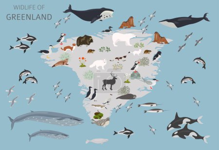 Geografía de Groenlandia. Diseño de vida silvestre de Groenlandia. Animales, aves y plantas elementos constructores aislados en conjunto blanco. Ilustración vectorial