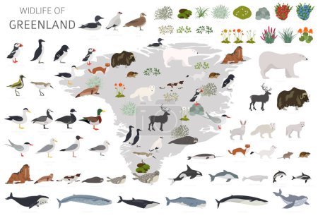 Greenlandic Geography. Design of Greenland wildlife. Animals, birds and plants constructor elements isolated on white set. Vector illustration