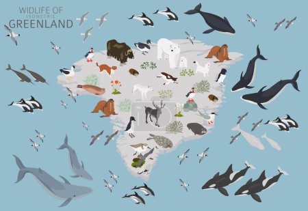 Conception 3D isométrique de la faune du Groenland. Animaux, oiseaux et plantes éléments constructeurs isolés sur un ensemble blanc. Créez votre propre collection d'infographies géographiques. Illustration vectorielle