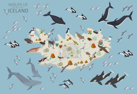 Isometrisches Design der isländischen Tierwelt. Tiere, Vögel und Pflanzen sind Bauelemente, isoliert auf weißem Untergrund. Nordatlantische Natur. Vektorillustration