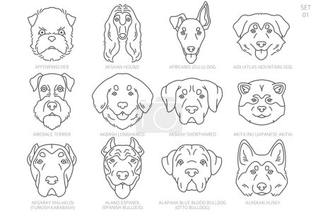 Illustration for Dog head Silhouettes in alphabet order. All dog breeds. Simple line vector design. Vector illustration - Royalty Free Image