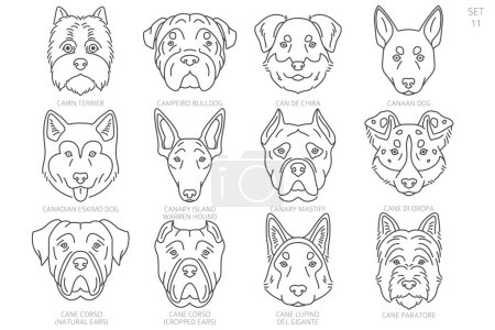 Cabeza de perro Siluetas en orden alfabético. Todas las razas de perros. Diseño de vector de línea simple. Ilustración vectorial