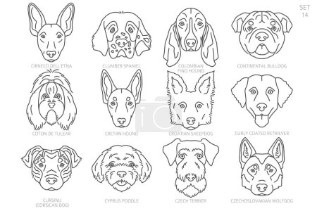 Dog head Silhouettes in alphabet order. All dog breeds. Simple line vector design. Vector illustration