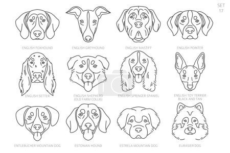 Téléchargez les illustrations : Tête de chien Silhouettes par ordre alphabétique. Toutes les races de chiens. Conception vectorielle de ligne simple. Illustration vectorielle - en licence libre de droit
