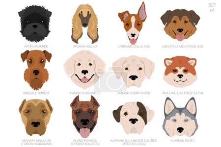Ilustración de Cabeza de perro en orden alfabético. Todas las razas de perros. Diseño de vectores de color. Ilustración vectorial - Imagen libre de derechos
