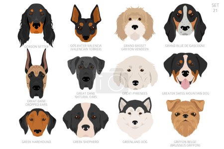 Hundekopf in alphabetischer Reihenfolge. Alle Hunderassen. Farbvektordesign. Vektorillustration