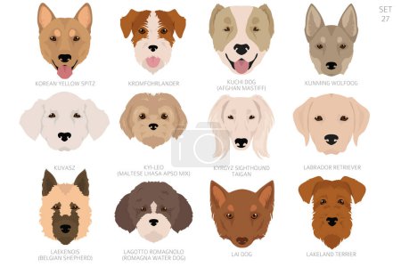 Ilustración de Cabeza de perro en orden alfabético. Todas las razas de perros. Diseño de vectores de color. Ilustración vectorial - Imagen libre de derechos