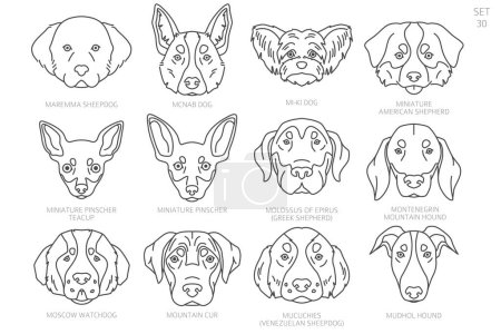 Cabeza de perro Siluetas en orden alfabético. Todas las razas de perros. Diseño de vector de línea simple. Ilustración vectorial