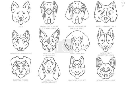 Ilustración de Cabeza de perro Siluetas en orden alfabético. Todas las razas de perros. Diseño de vector de línea simple. Ilustración vectorial - Imagen libre de derechos