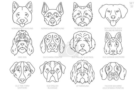 Hundekopf Silhouetten in alphabetischer Reihenfolge. Alle Hunderassen. Einfaches Linienvektordesign. Vektorillustration