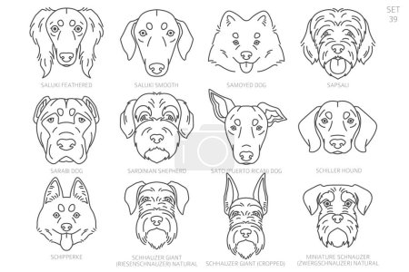 Tête de chien Silhouettes par ordre alphabétique. Toutes les races de chiens. Conception vectorielle de ligne simple. Illustration vectorielle